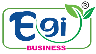 EGI Business